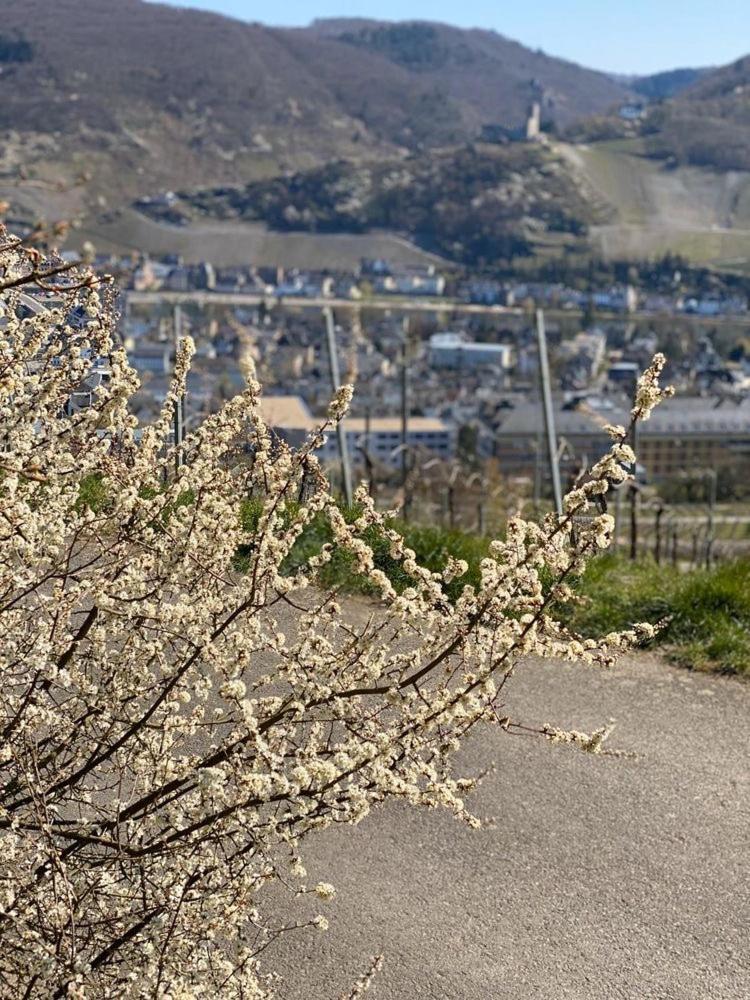 Das Kleine Stadthaus Verbandsgemeinde Verbandsgemeinde Bernkastel-Kues Buitenkant foto
